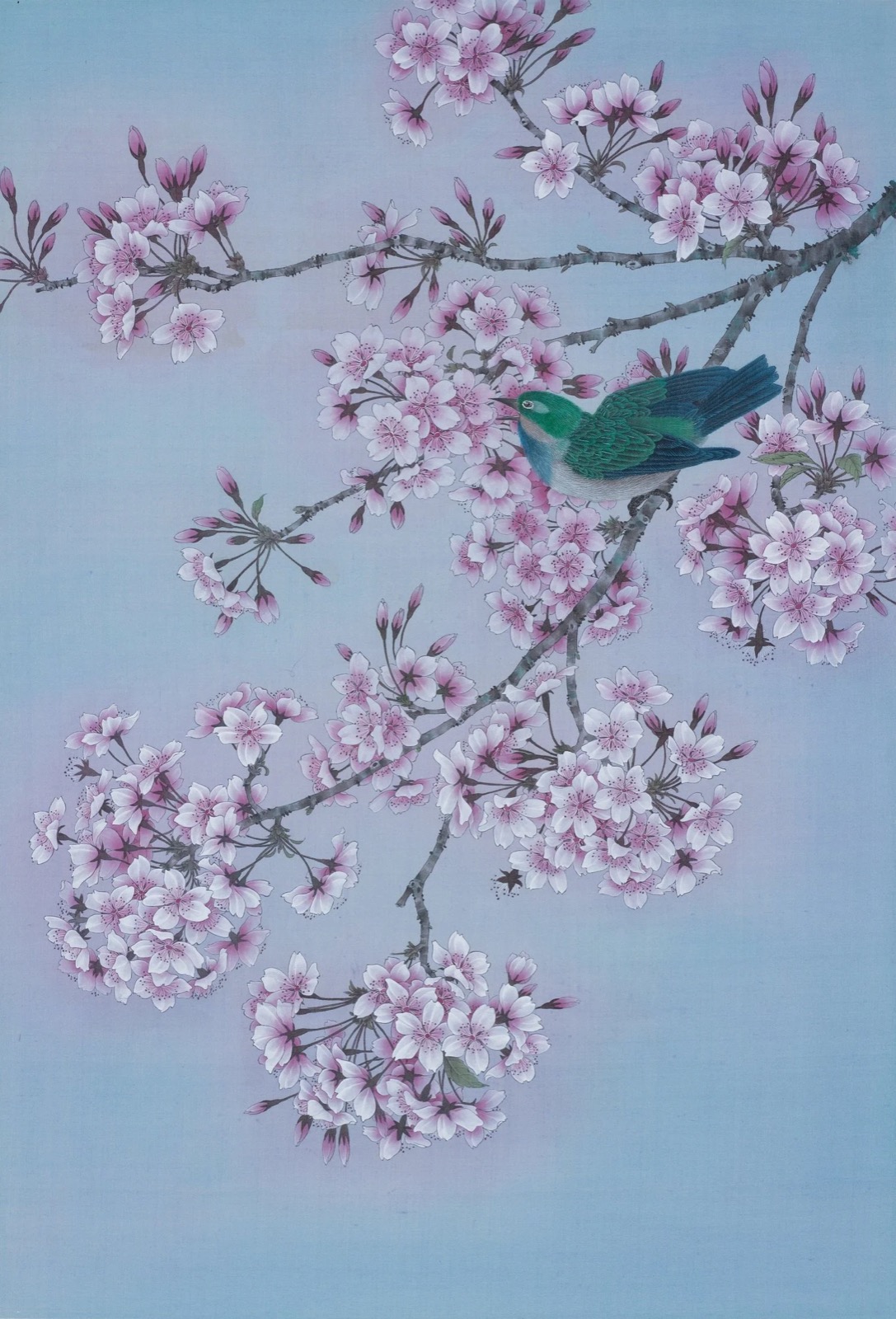 Kejie Lin, Bird & Sakura, 2022, Chinese ink and colour on silk
