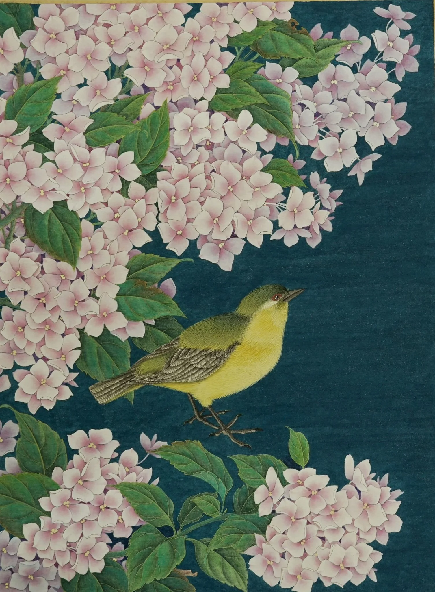 Kejie Lin, My Garden Series - Pink Hydrangea I, 2024, Silk board 绢卡