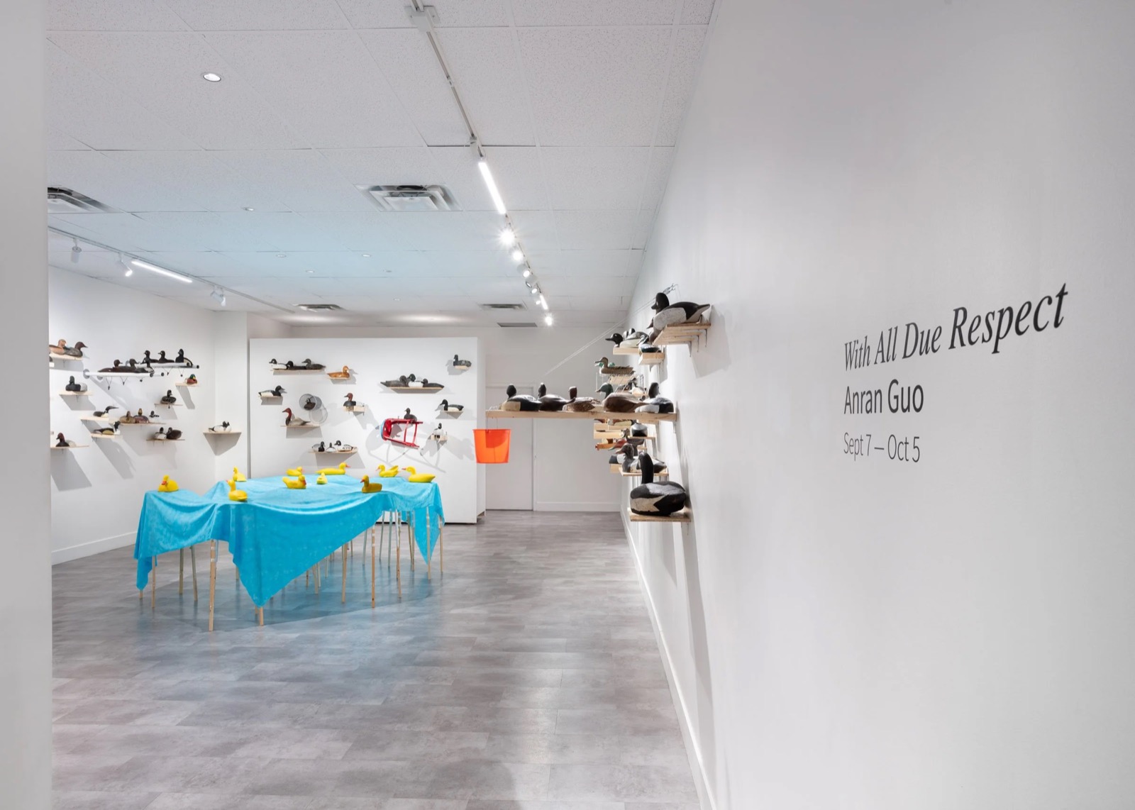 Anran Guo, Anran Guo: With All Due Respect installation view