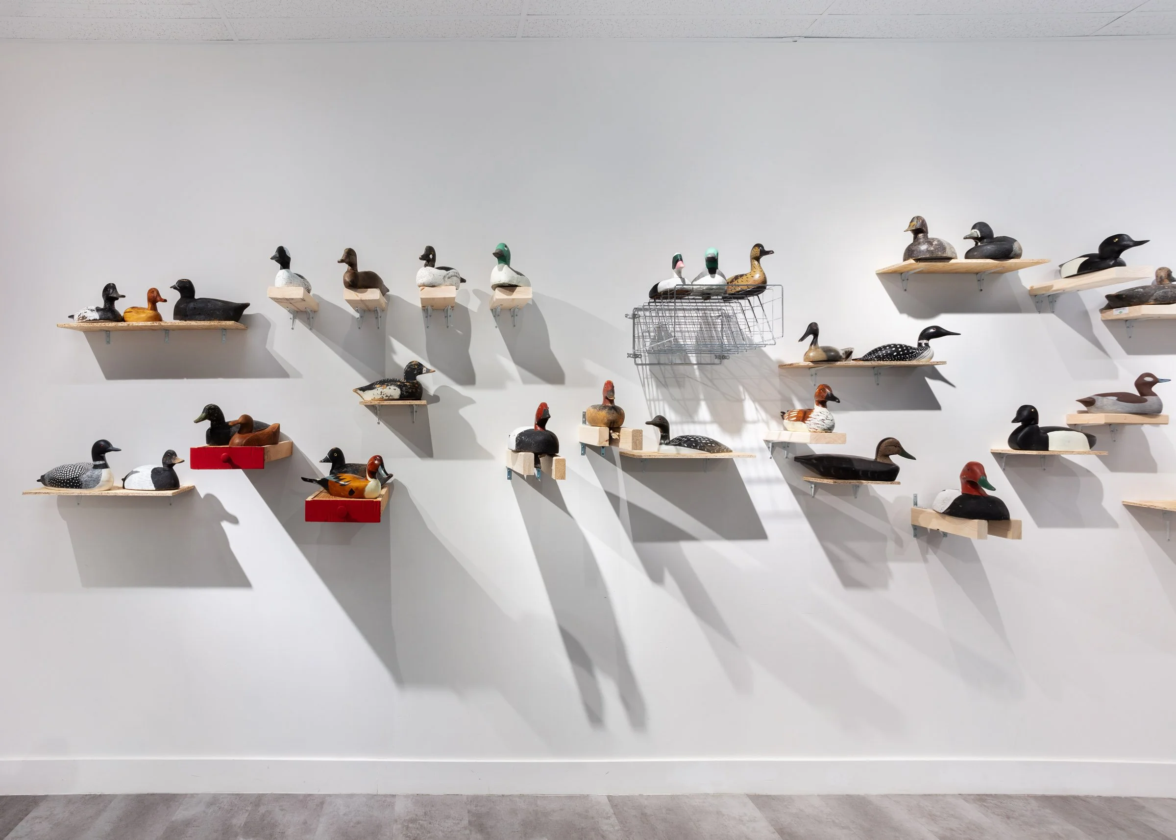 Anran Guo: With All Due Respect, installation view
