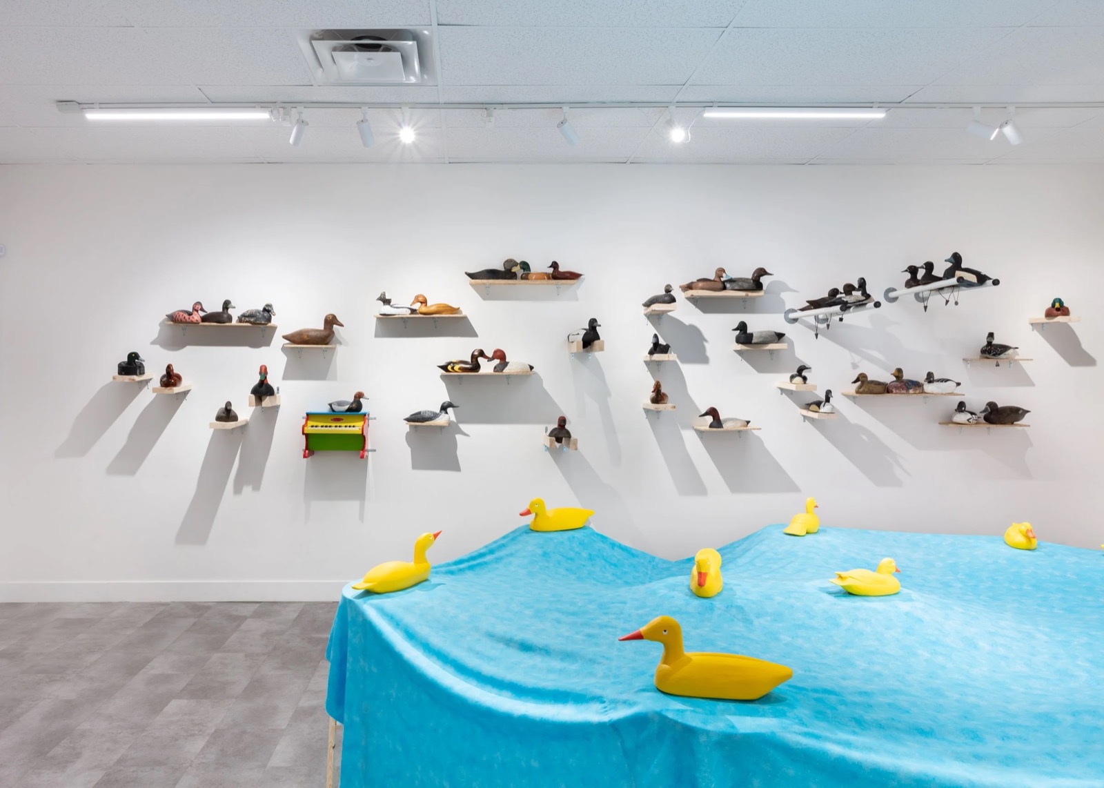 Anran Guo: With All Due Respect, installation view