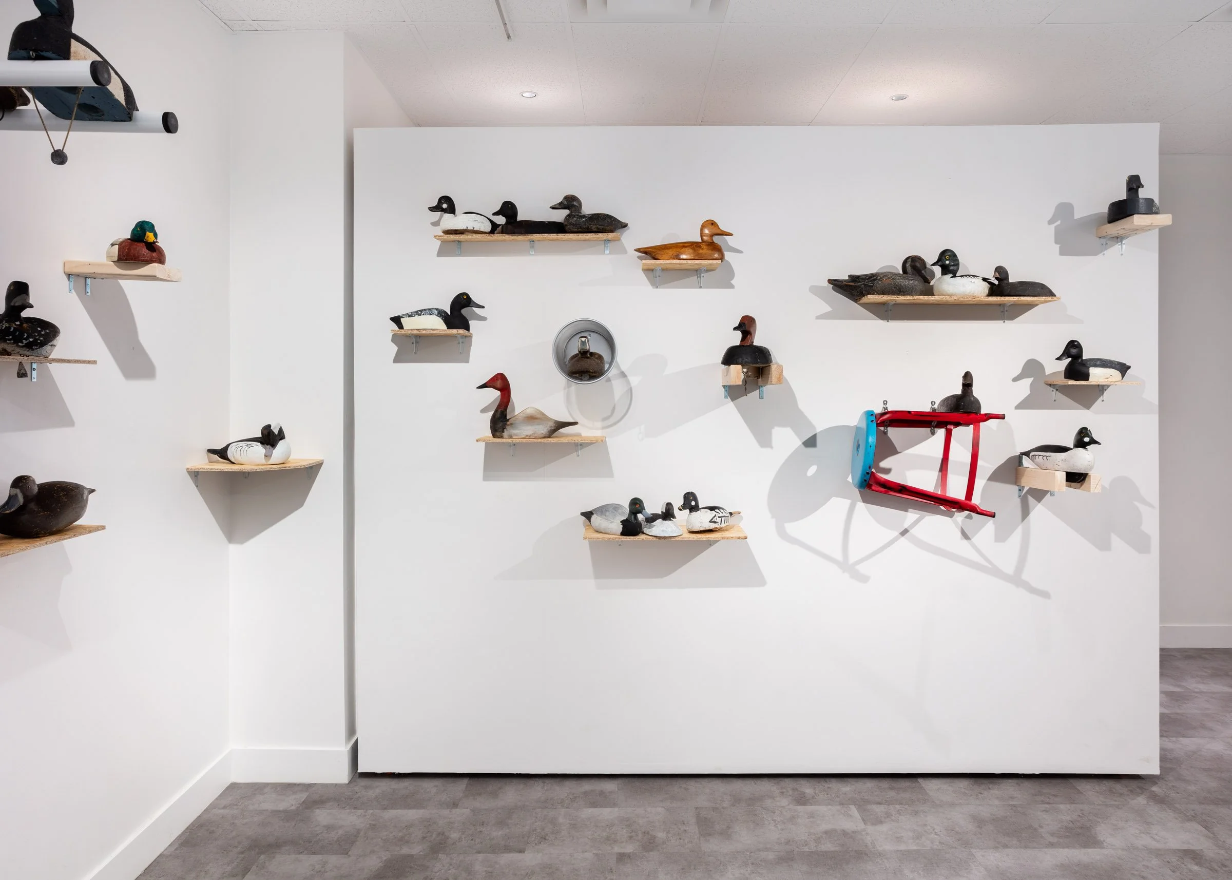 Anran Guo: With All Due Respect, installation view