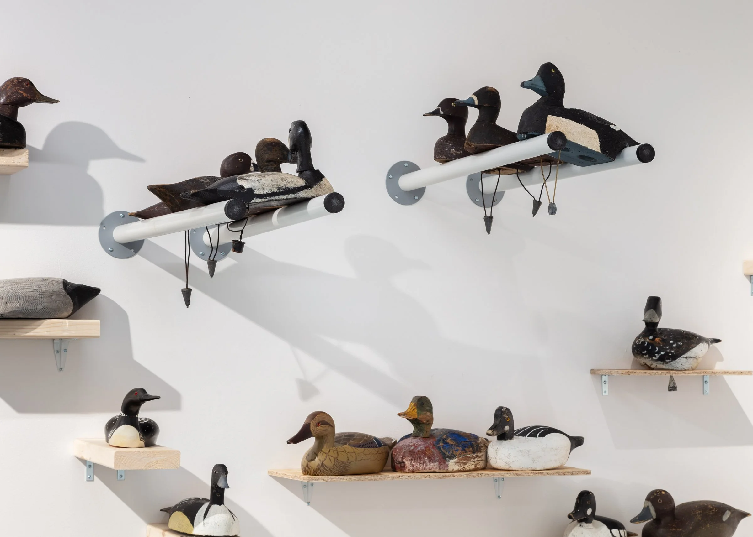 Anran Guo: With All Due Respect, installation view