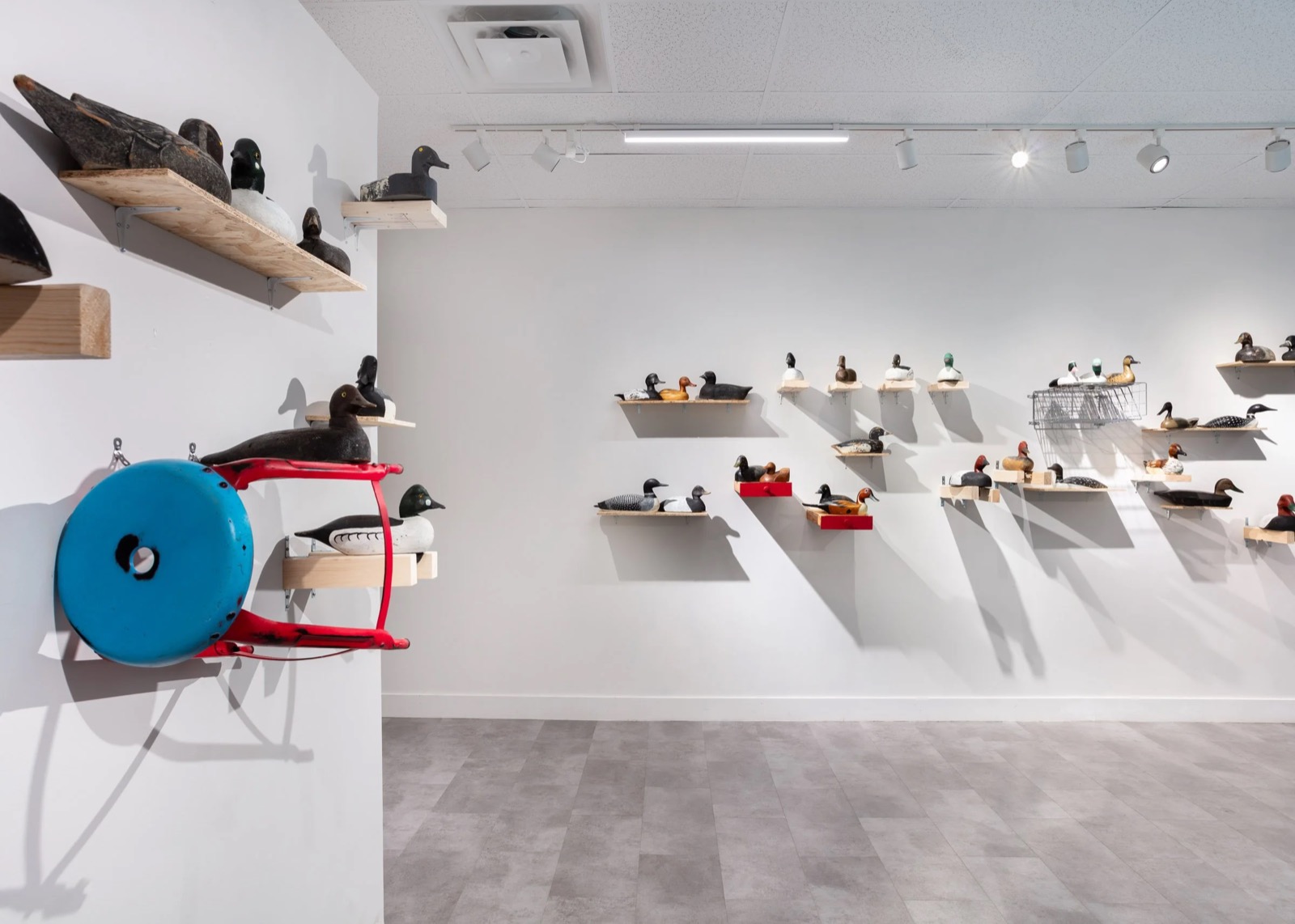 Anran Guo: With All Due Respect, installation view