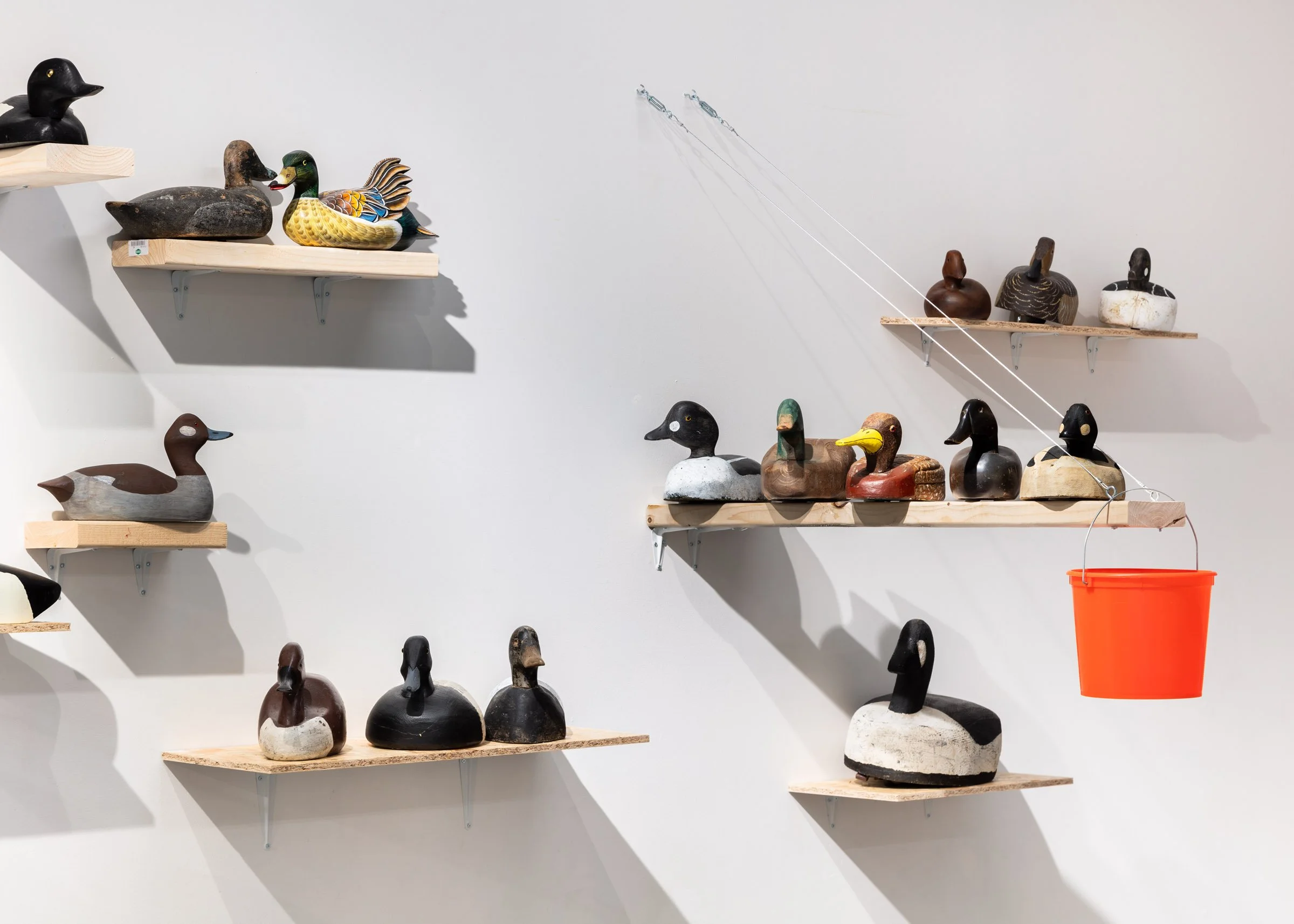 Anran Guo: With All Due Respect, installation view