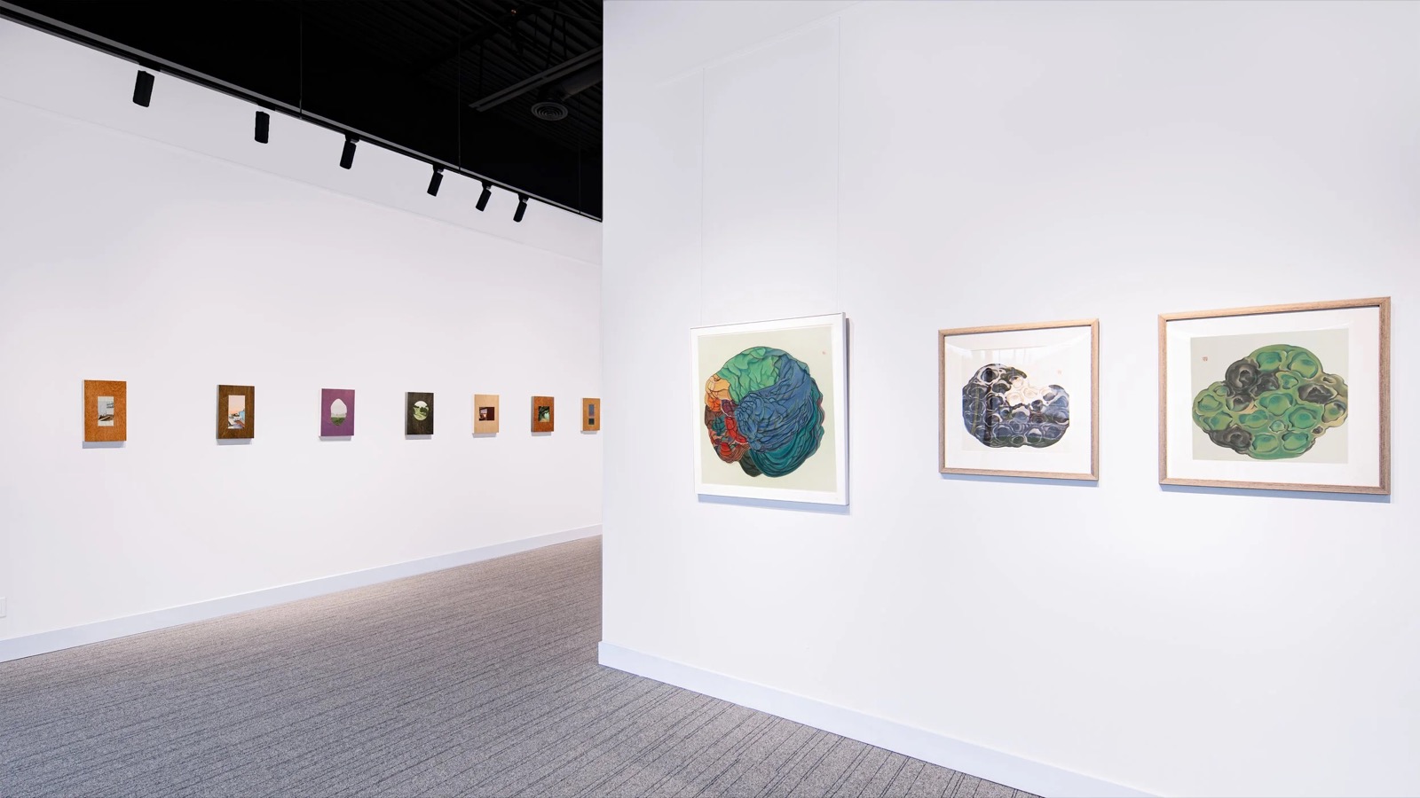 don’t you remember?, installation view