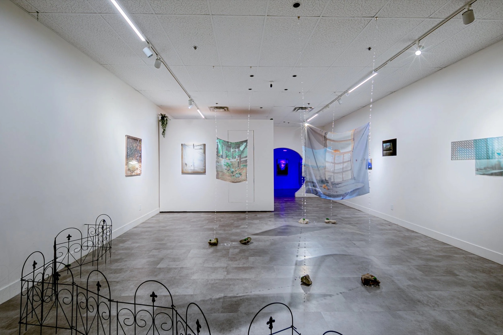 Peishan Huang, Maria Simmons, If a Tree Falls in a Forest installation view