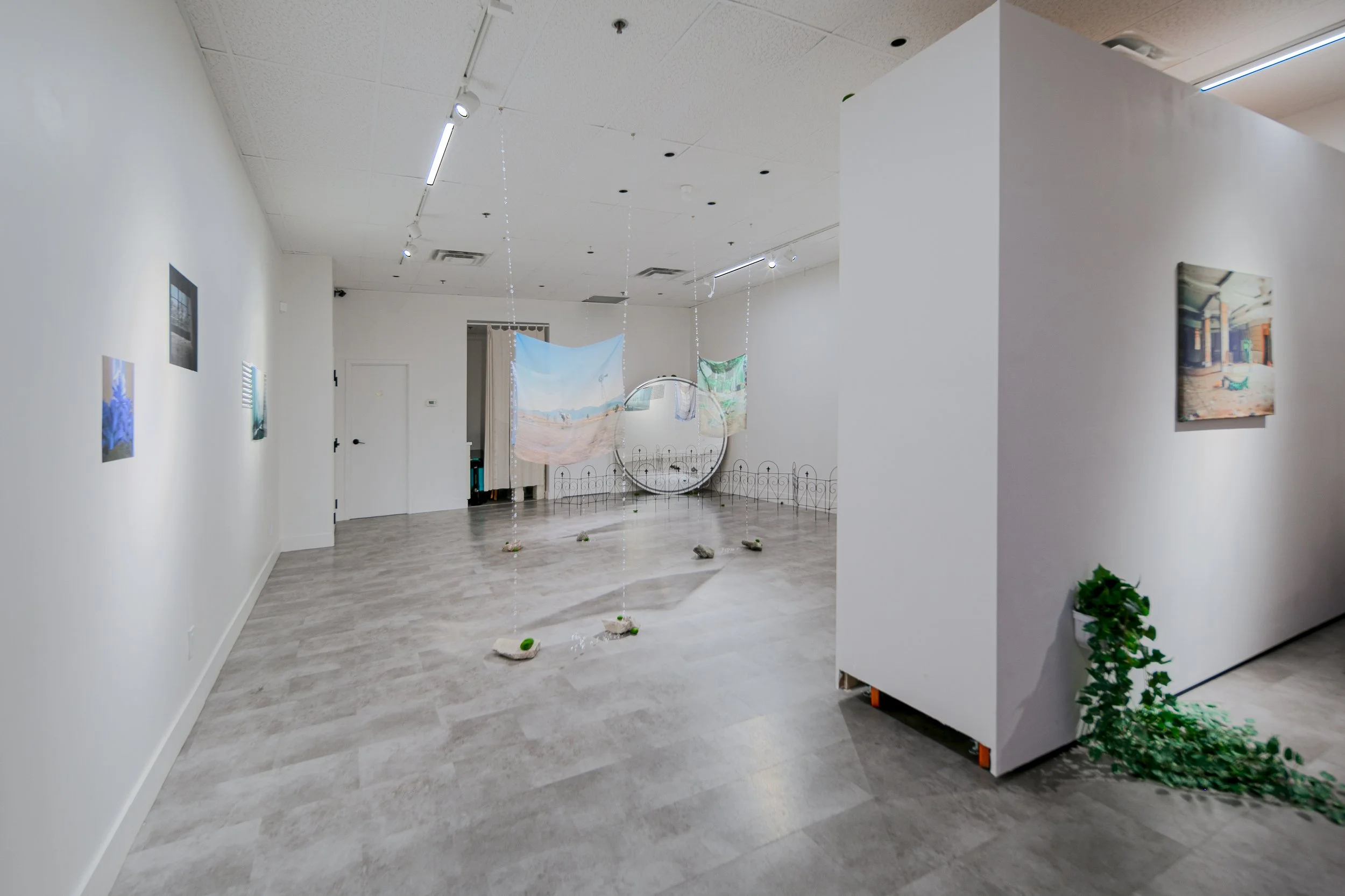 If a Tree Falls in a Forest, installation view