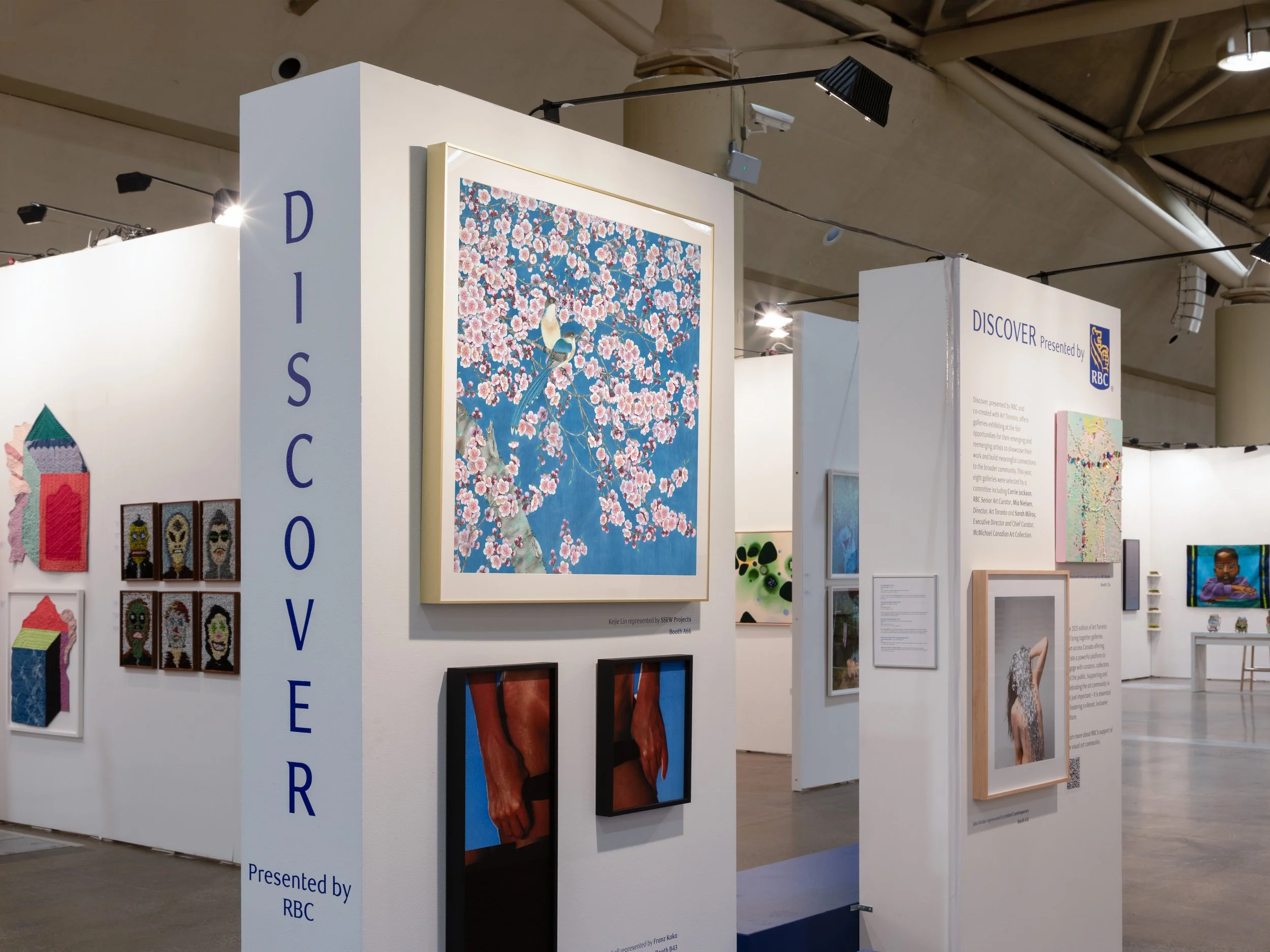 Art Toronto 2025, booth view